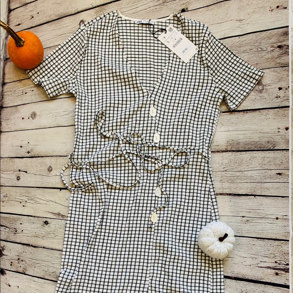 Zara Button Front Dress